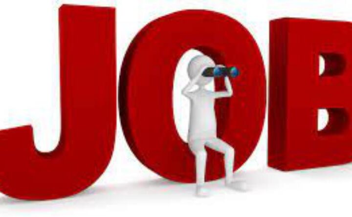 रोजगार मेला 12 जुलाई को, रोजगार मेले में 15 निजी कंपनियां युवाओं को रोजगार के अवसर देंगी