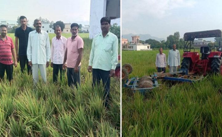 किसानों ने अपनी खड़ी फसल पर चला दिया ट्रैक्‍टर, किसानों के चेहरों पर मायूसी