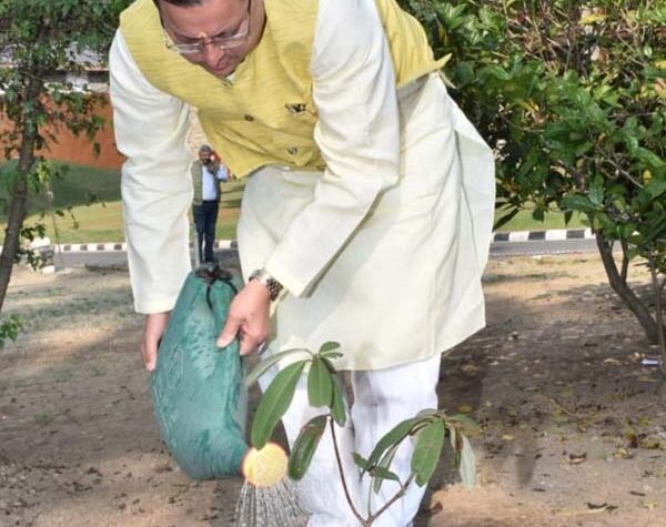 सीएम धामी ने मुख्यमंत्री आवास में राजकीय वृक्ष बुरांश किया रोपित