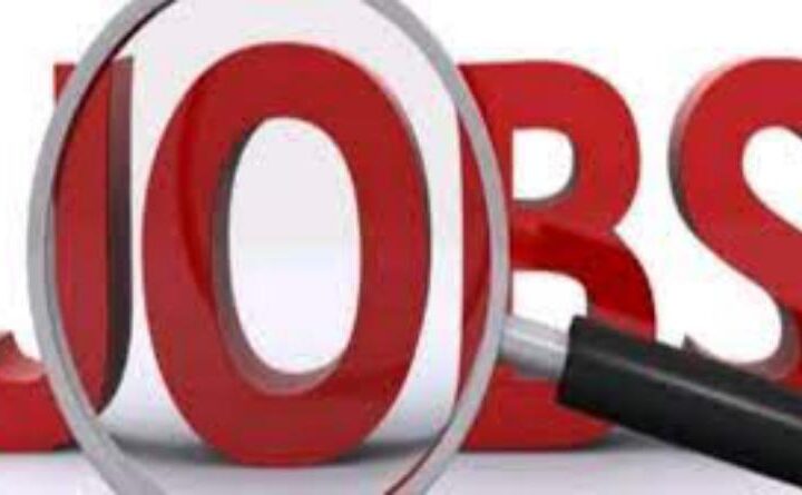 नए साल में कई विभागों में 5,700 पदों पर भर्ती के विज्ञापन जारी किए जाएंगे