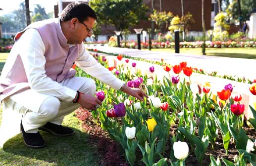 मुख्यमंत्री पुष्कर सिंह धामी ने आवास परिसर स्थित ट्यूलिप गार्डन का किया निरीक्षण