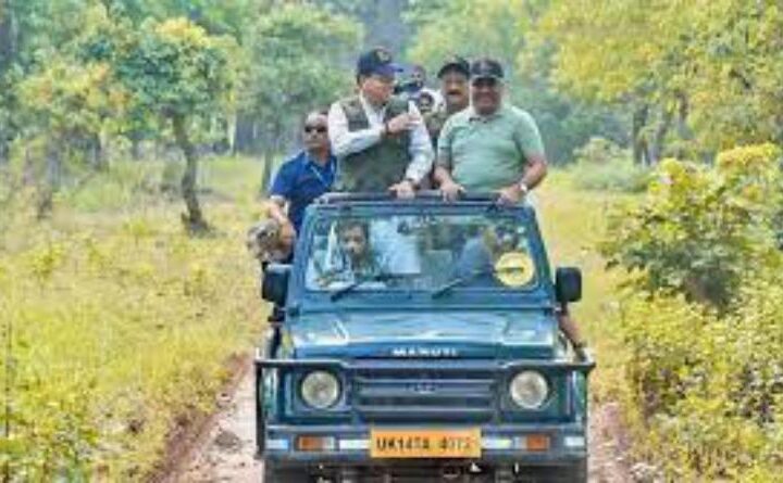 करन माहरा ने भाजपा सरकार के विरुद्ध बोला हल्ला,कहा- राजाजी में हाथियों और बाघिन के साथ अमानवीय व्यवहार किया गया