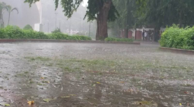 पहाड़ी क्षेत्रों में बारिश और ओलावृष्टि ने जमकर मचाई तबाही, फल और खड़ी फसलें हुई बर्बाद 