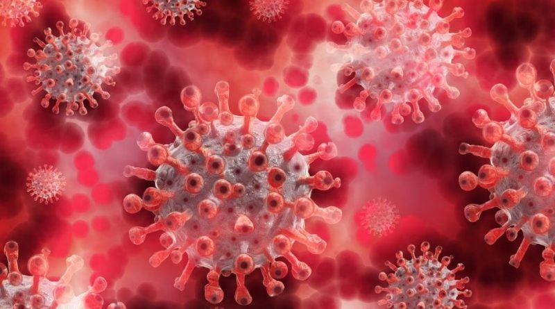 देश में फिर बढ़ने लगे कोरोना के मामले, JN.1 वेरिएंट ने बढ़ाई चिंता