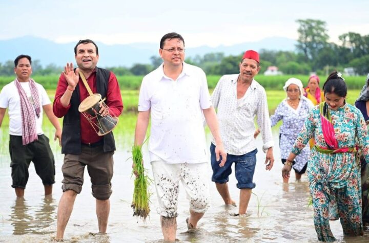 सीएम धामी ने खटीमा में की धान रोपाई