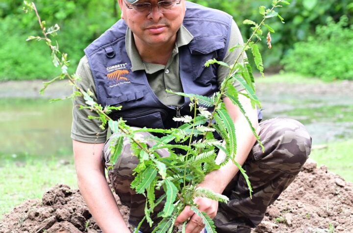 मातृत्व और प्रकृति के प्रति सम्मान का प्रतीक है एक पेड़ माँ के नाम’ अभियान : धामी