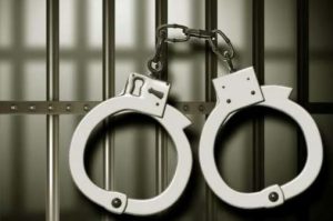 अमेरिका में अवैध रूप से रह रहे ट्रक चालकों के खिलाफ बड़ी कार्रवाई, 30 भारतीय गिरफ्तार