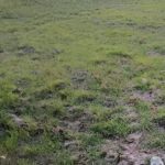 उत्तराखंड में सूखे जैसे हालात, कम बारिश-बर्फबारी से खेती, पर्यटन और पर्यावरण पर संकट