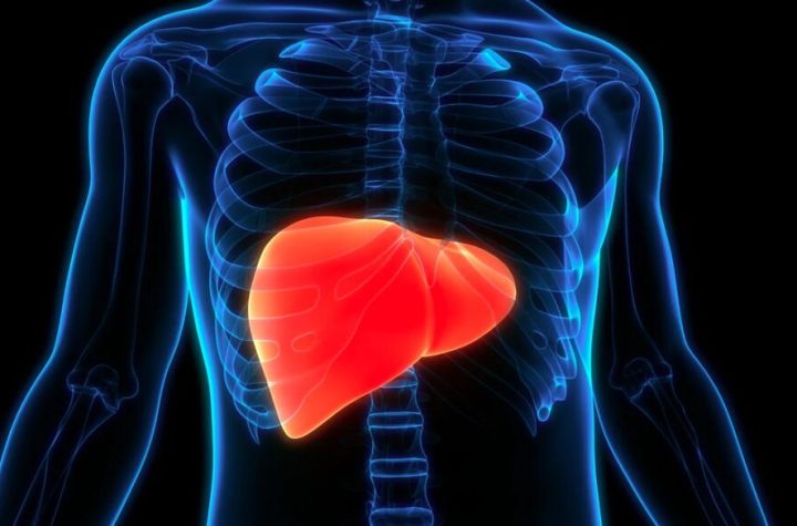गलत लाइफस्टाइल बढ़ा रही फैटी लिवर की समस्या, सही डाइट से संभव है बचाव