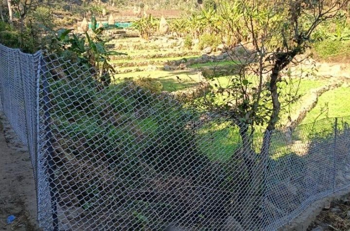 घेरबाड़ योजना से सुरक्षित हुई फसलें, 339 हेक्टेयर कृषि भूमि को मिला संरक्षण