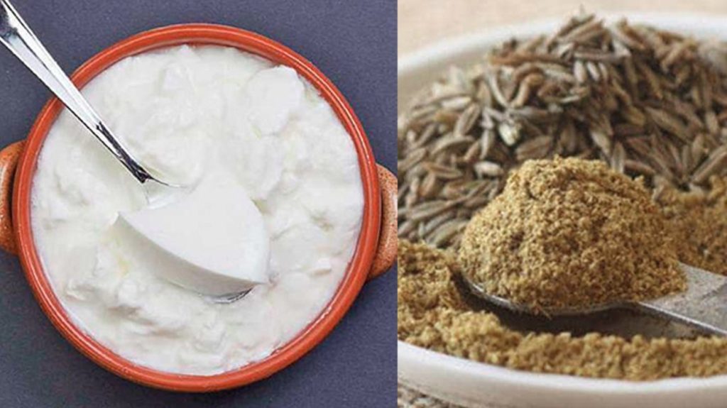 गर्मी में क्यों फायदेमंद है दही- भुना जीरा, आइये जानते हैं क्या कहते है स्वास्थ्य विशेषज्ञ