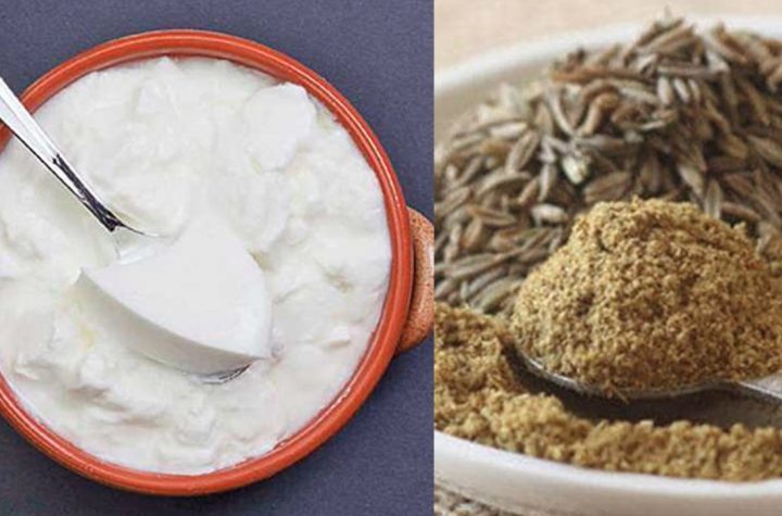 गर्मी में क्यों फायदेमंद है दही- भुना जीरा, आइये जानते हैं क्या कहते है स्वास्थ्य विशेषज्ञ