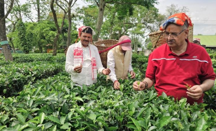 कृषि मंत्री गणेश जोशी ने असम के हाथीकुली चाय बागान का किया अवलोकन