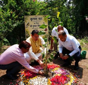 मुख्यमंत्री ने पौधरोप कर किया गार्डन का शुभारंभ