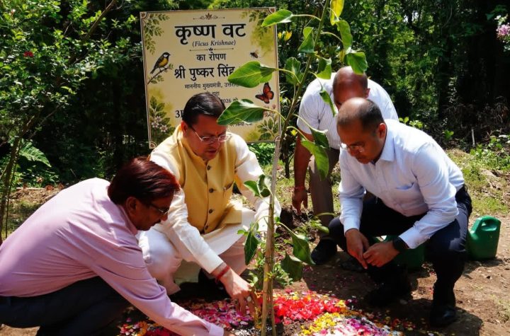 मुख्यमंत्री ने पौधरोप कर किया गार्डन का शुभारंभ