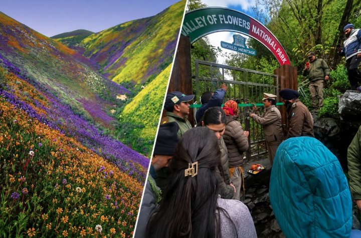 विश्व प्रसिद्ध फूलों की घाटी पर्यटकों के लिए खुली