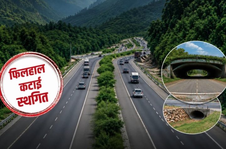 सरकार का बड़ा फैसला- देहरादून-ऋषिकेश फोर/सिक्स लेन परियोजना में फिलहाल नहीं कटेंगे पेड़
