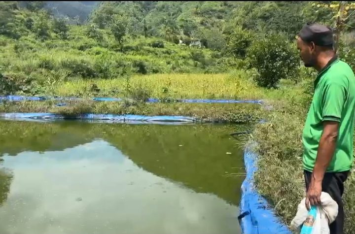 मछली पालन से स्वरोजगार की मिसाल पेश कर रहे पाबौ के राजेंद्र चमोली