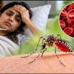 मच्छरों के काटने से सिर्फ डेंगू-मलेरिया ही नहीं, एनीमिया का भी बढ़ सकता है खतरा