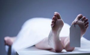 भाबर में बड़ा हादसा: पेड़ गिरने से एक की मौत, दूसरा गंभीर घायल